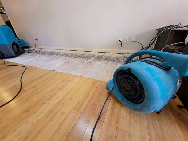 Professional Structural Drying technician working in Malott, WA
